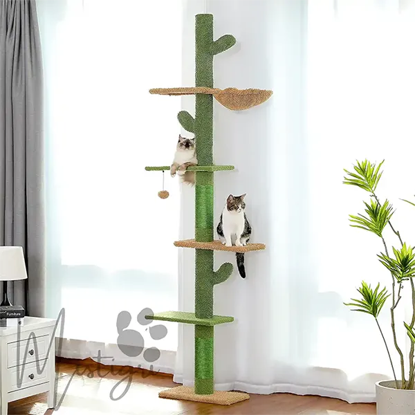 Arbre à Chat Cactus
