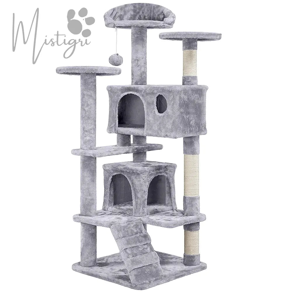 Arbre à chatons gris clair
