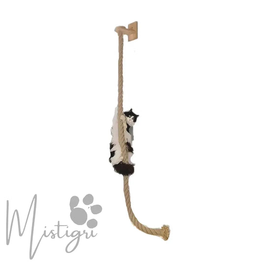corde d'escalade pour chat